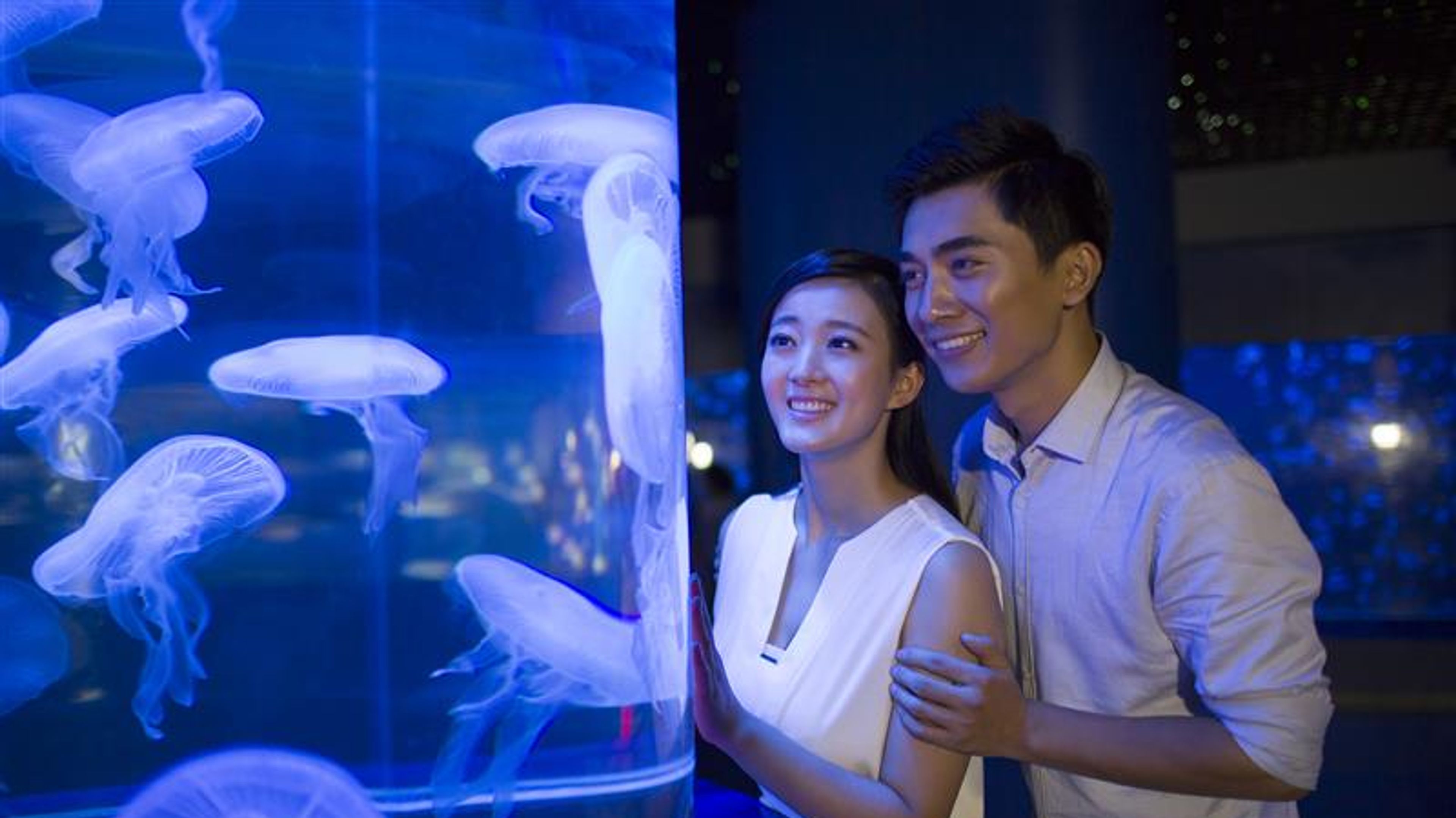 A couple in an underwater aquarium.