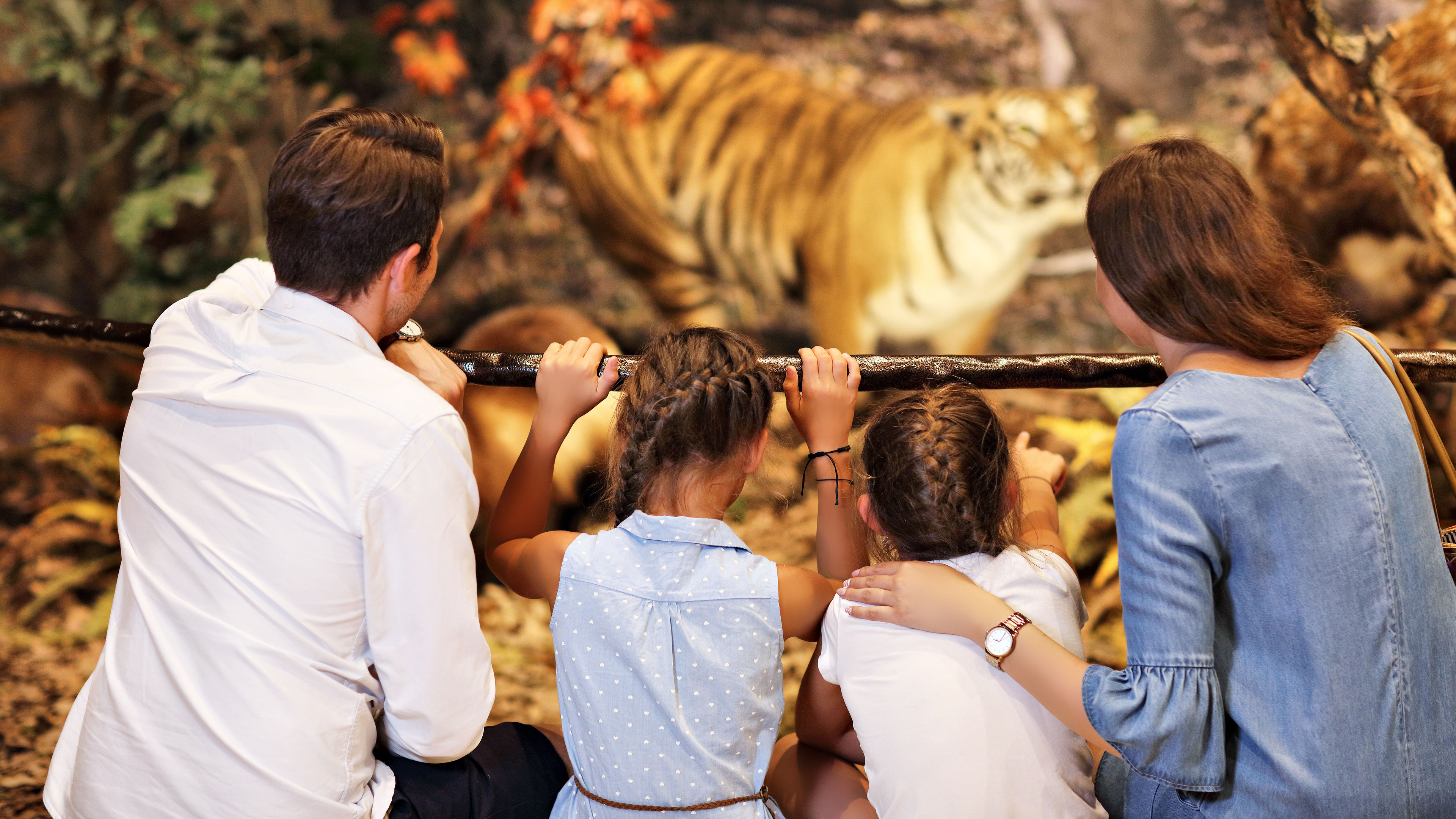 A family watching a tiger in a museum 
